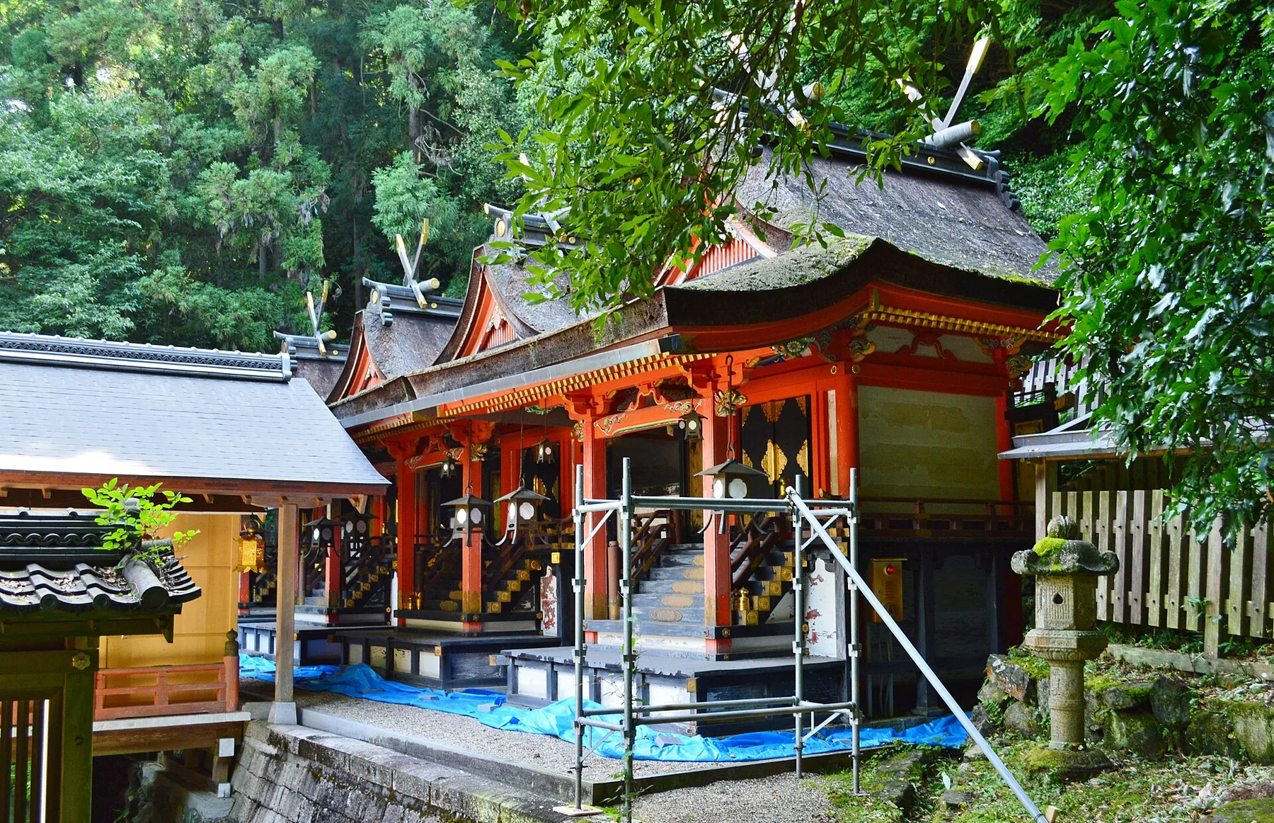 緑に囲まれた枚岡神社の本殿